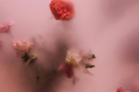 Inspirierende Impulse.