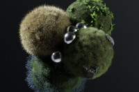 Die Aufgaben für Nachhaltigkeitsverantwortliche werden immer anspruchsvoller. Wir helfen, den richtigen Fokus zu finden.