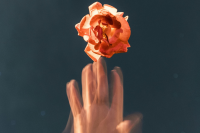 Magic Moves: Widerstand kann als wertvolle Ressource genutzt werden.